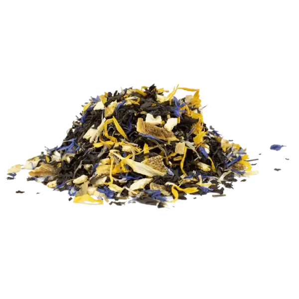 lady grey bio