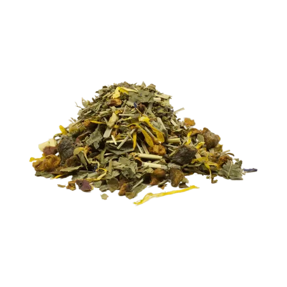 tropische moringa thee